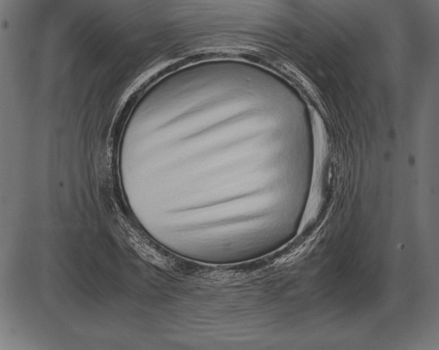 X0000086110779200704091417