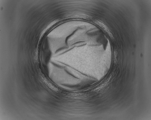 X0000086110780200704091417