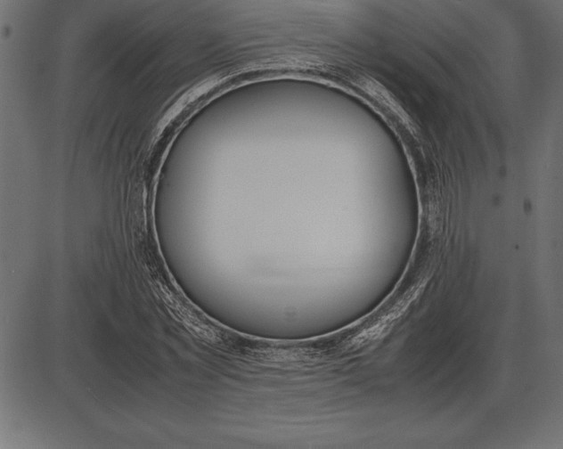 X0000086110781200704091417