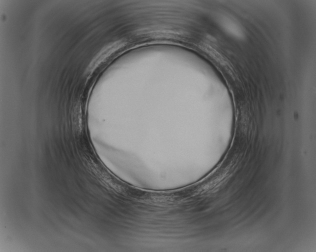 X0000086110782200704091417