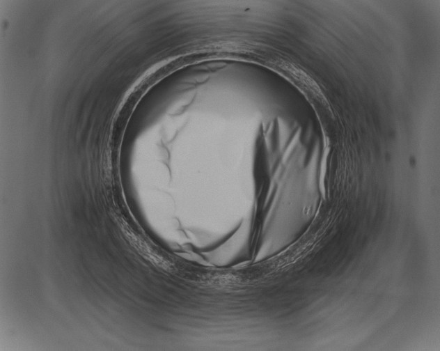 X0000086110784200704091417