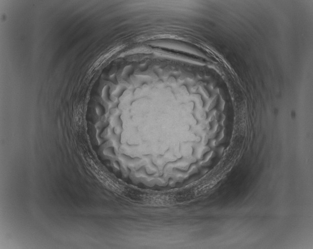 X0000086110785200704091417