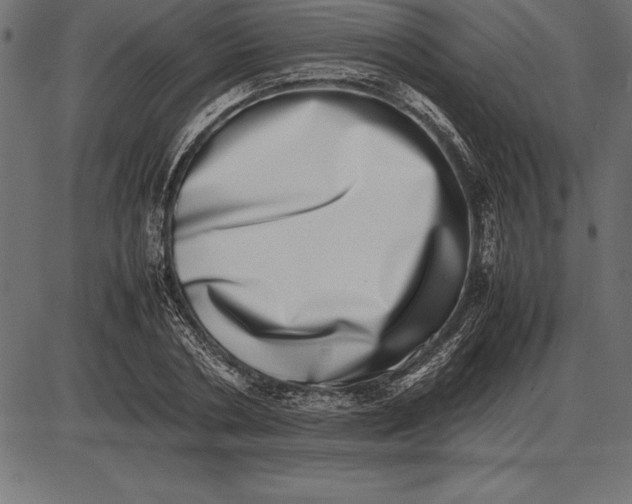 X0000086110786200704091417