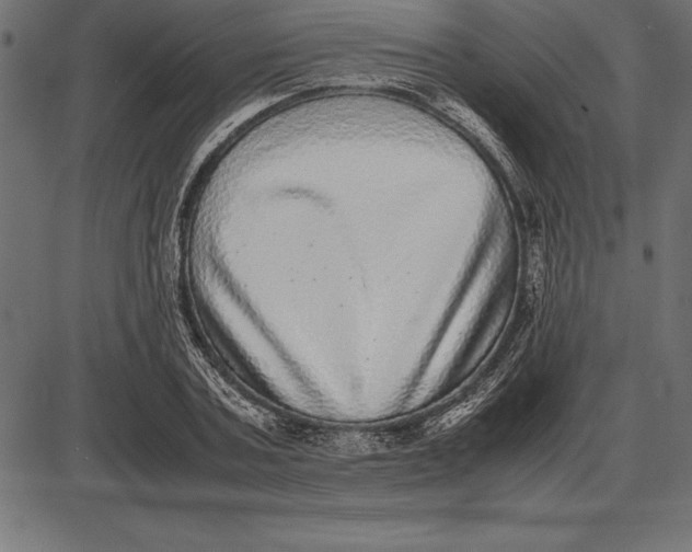 X0000086110787200704091417