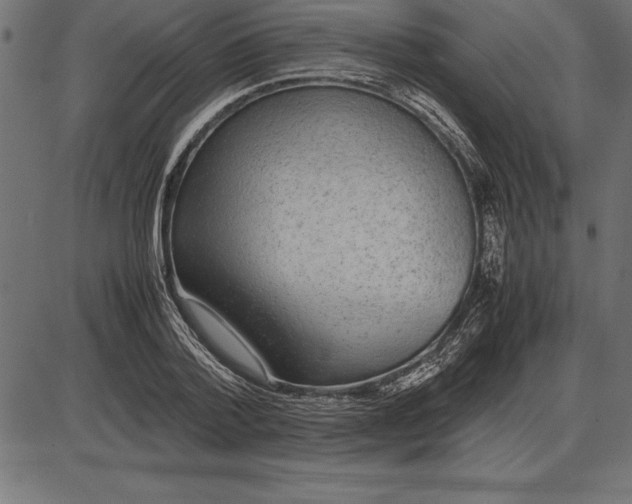 X0000086110788200704091417