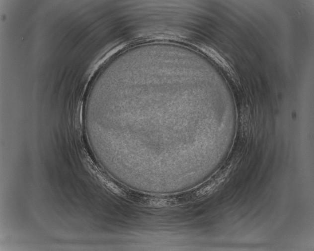 X0000086110790200704091417