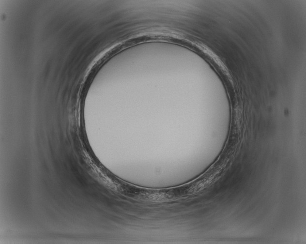 X0000086110791200704091417