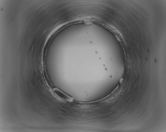 X0000086110792200704091417