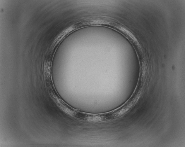 X0000086110793200704091417