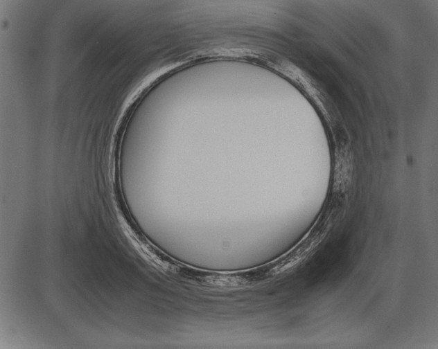 X0000086110795200704091417