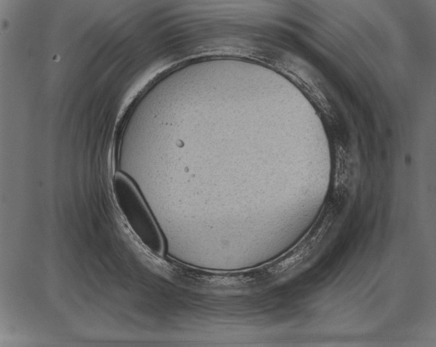 X0000086110796200704091417