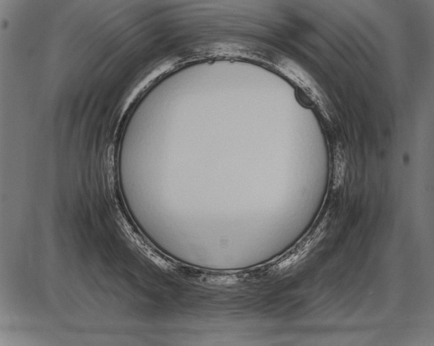 X0000086110798200704091417