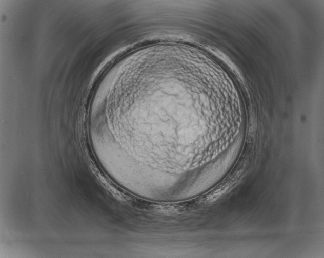 X0000086110799200704091417