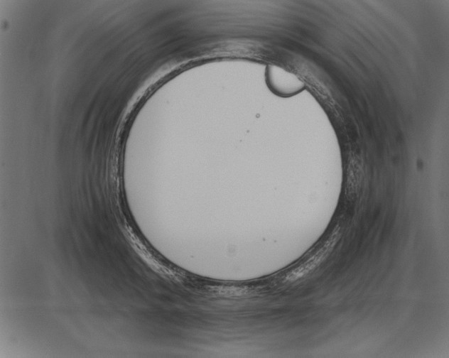 X0000086110800200704091417