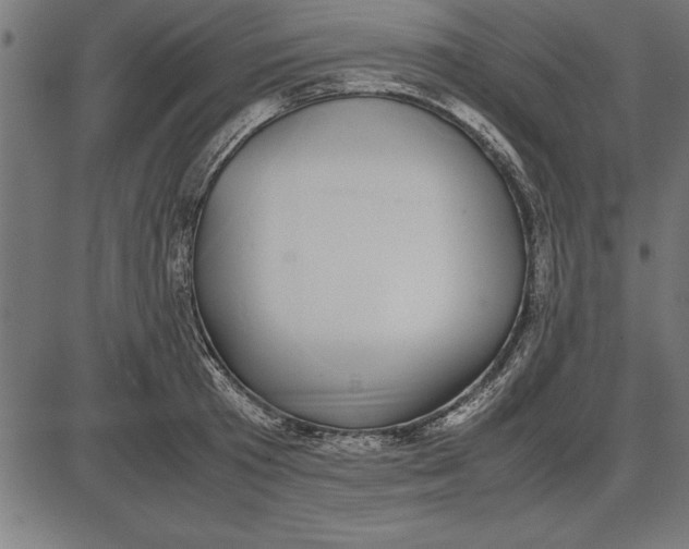 X0000086110801200704091417