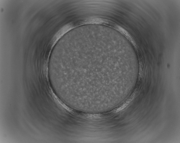 X0000086110802200704091417