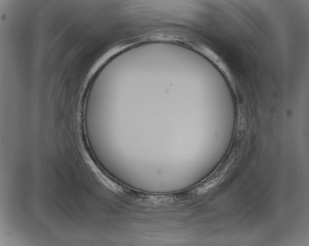 X0000086110803200704091417