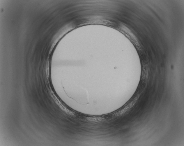 X0000086110804200704091417