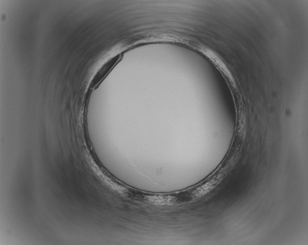 X0000086110805200704091417