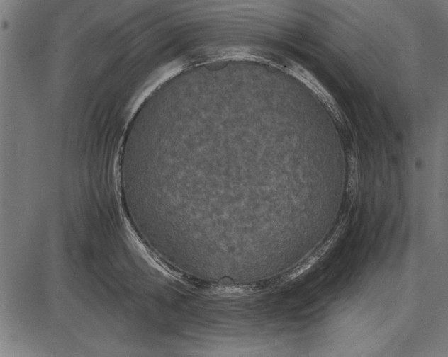 X0000086110806200704091417