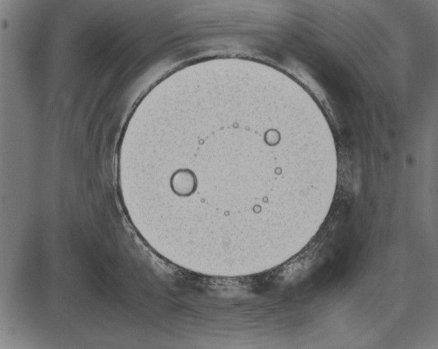 X0000086110807200704091417