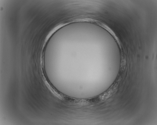 X0000086110811200704091417