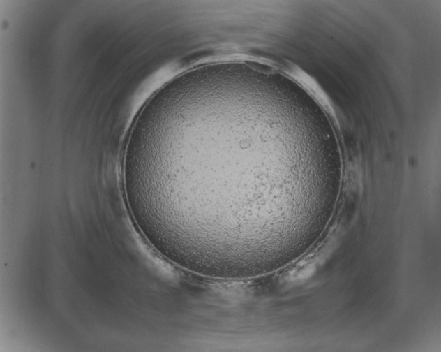 X0000086110813200704091417