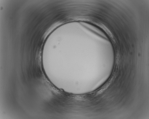 X0000086110814200704091417