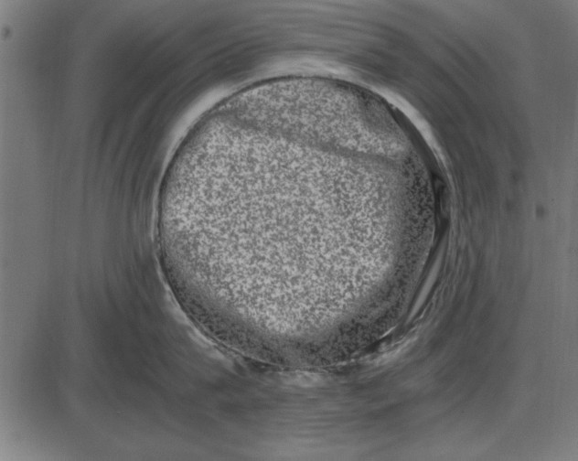 X0000086110815200704091417