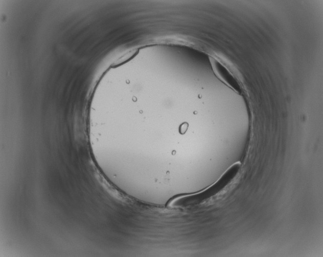 X0000086110816200704091416