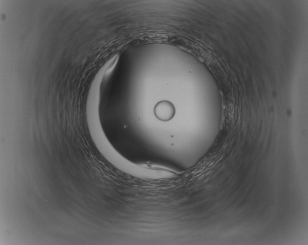 X0000086110818200704091416