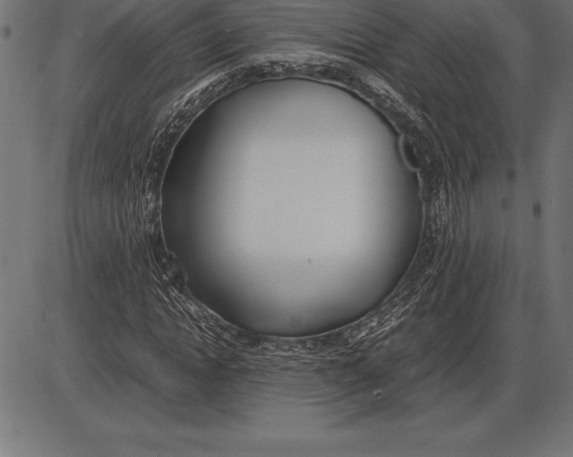 X0000086110822200704091416