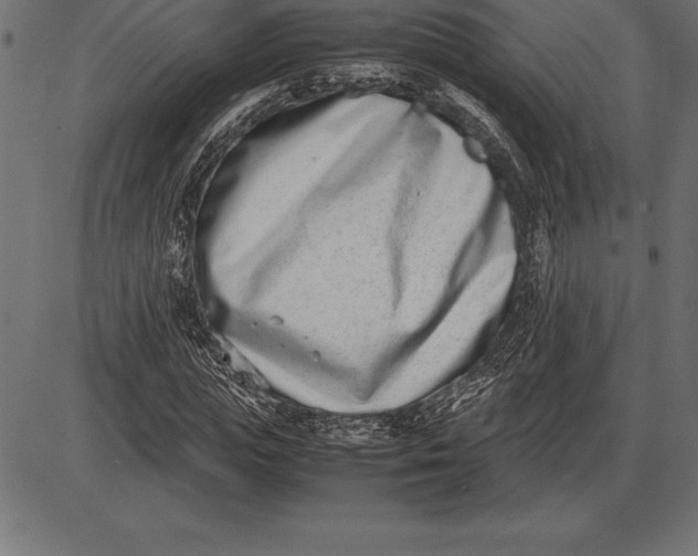 X0000086110823200704091416