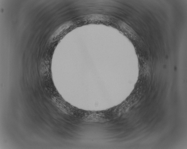 X0000086110824200704091416