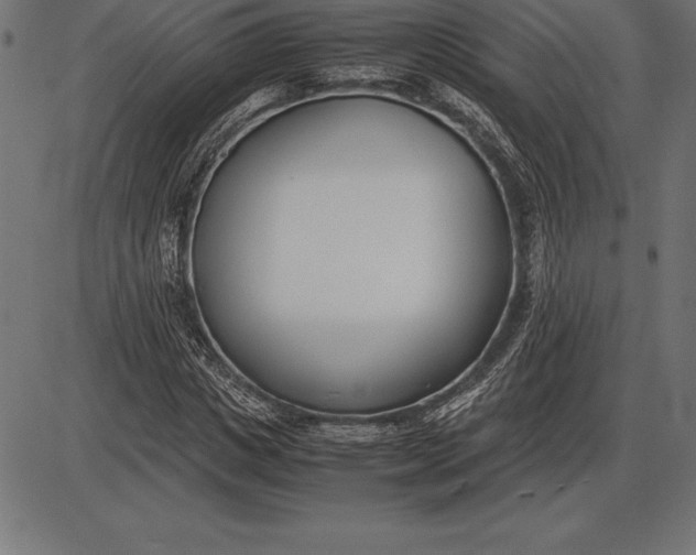 X0000086110825200704091416