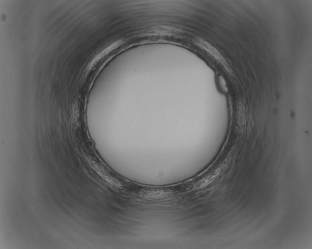 X0000086110826200704091416