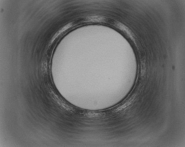 X0000086110827200704091416