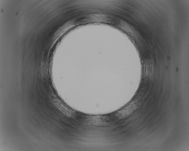 X0000086110828200704091416