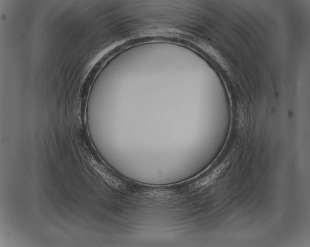 X0000086110830200704091416