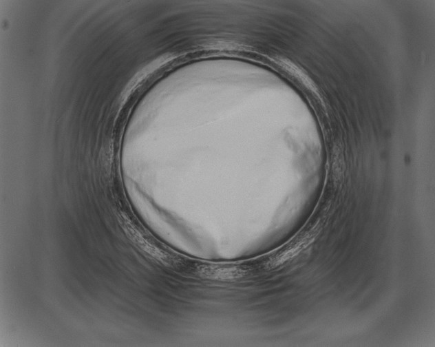 X0000086110831200704091416