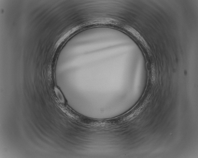 X0000086110834200704091416