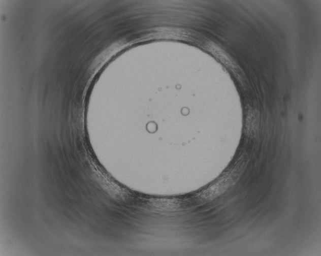 X0000086110836200704091416