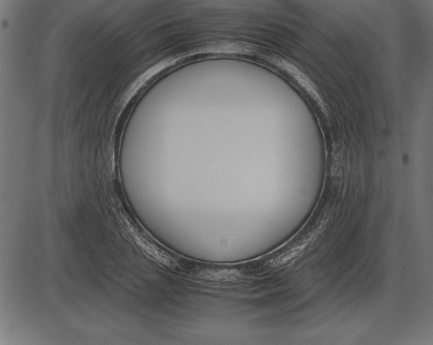 X0000086110837200704091416