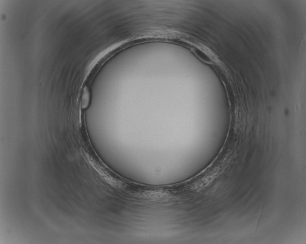 X0000086110838200704091416