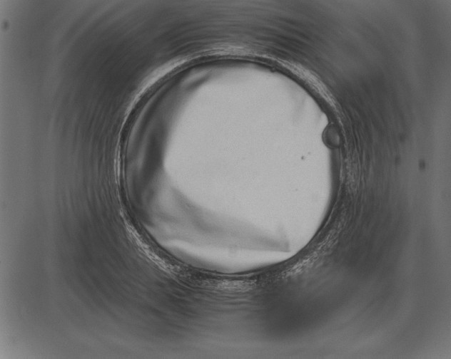 X0000086110839200704091416