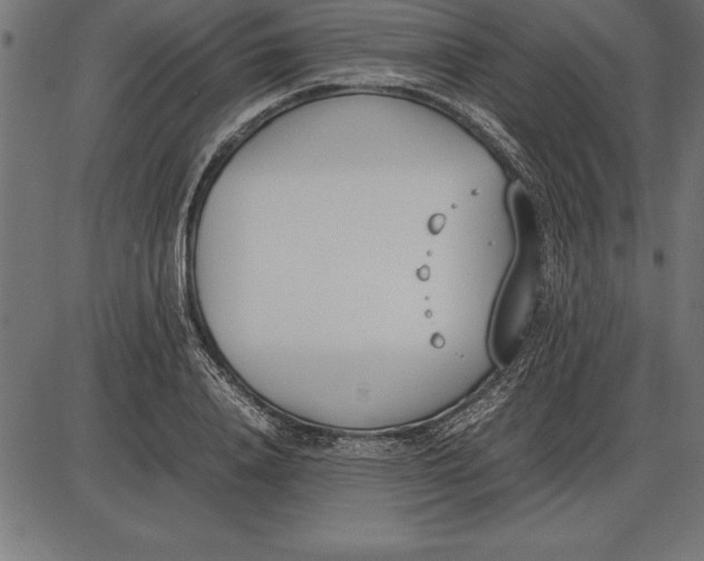 X0000086110840200704091416