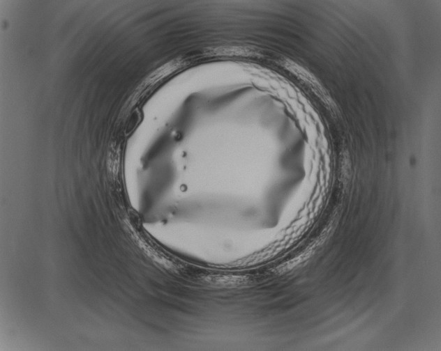 X0000086110841200704091416