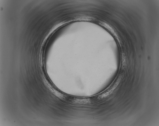 X0000086110843200704091416