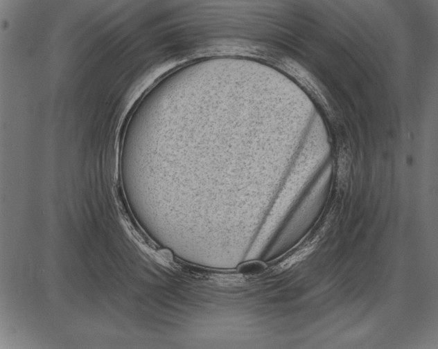 X0000086110844200704091416