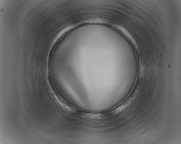 X0000086110845200704091416